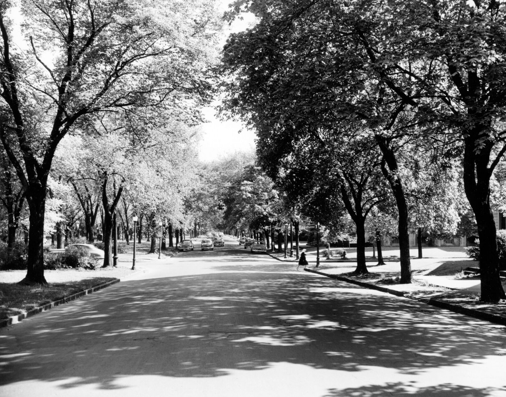 Humboldt Parkway from 1953